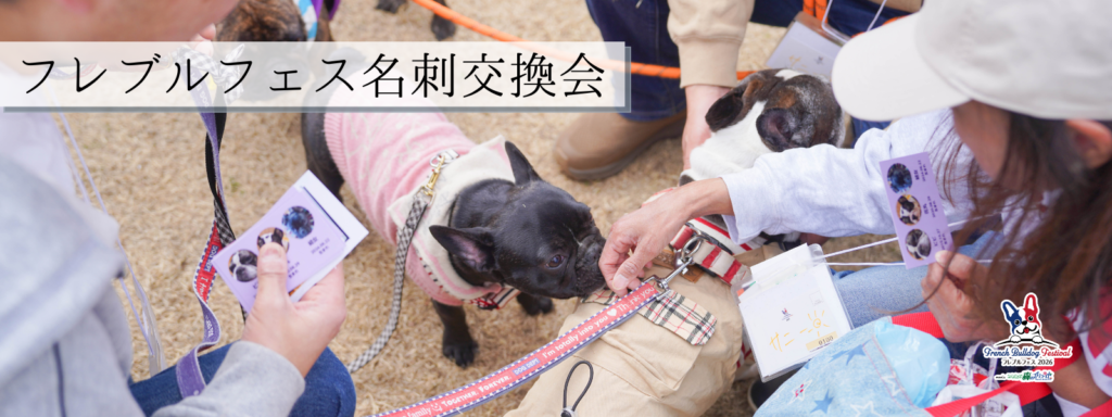 フレブルフェス名刺交換会