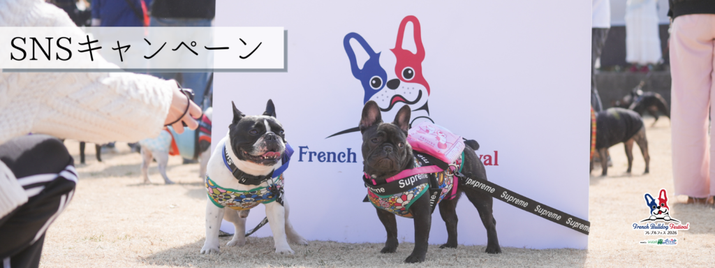 SNSキャンペーン