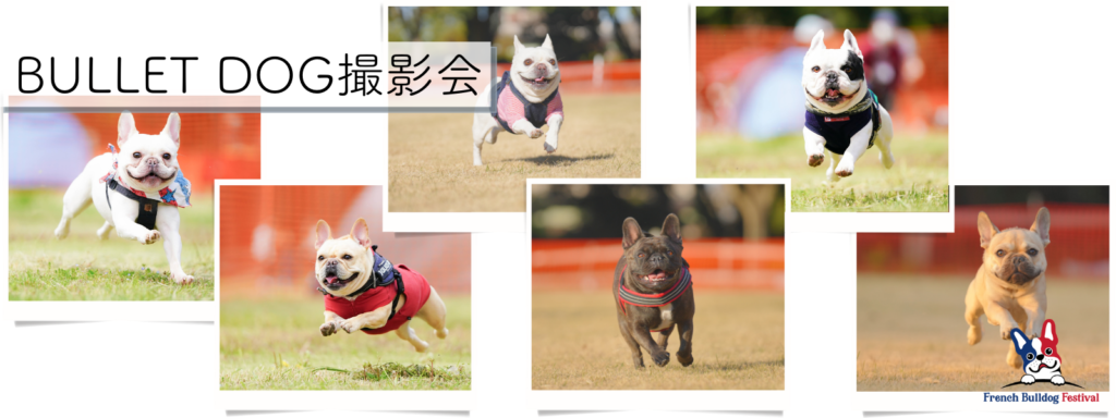 BULLET DOG撮影会