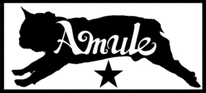 Amule