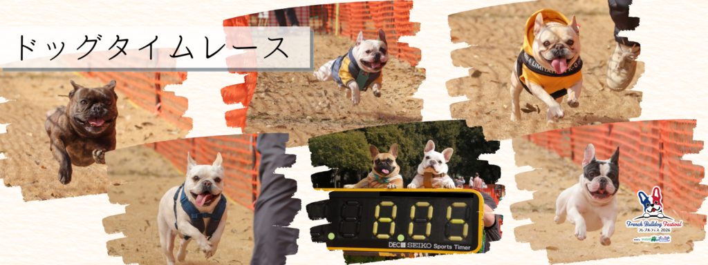 ドッグタイムレース