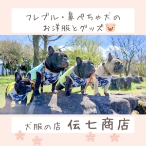 犬服の店　伝七商店