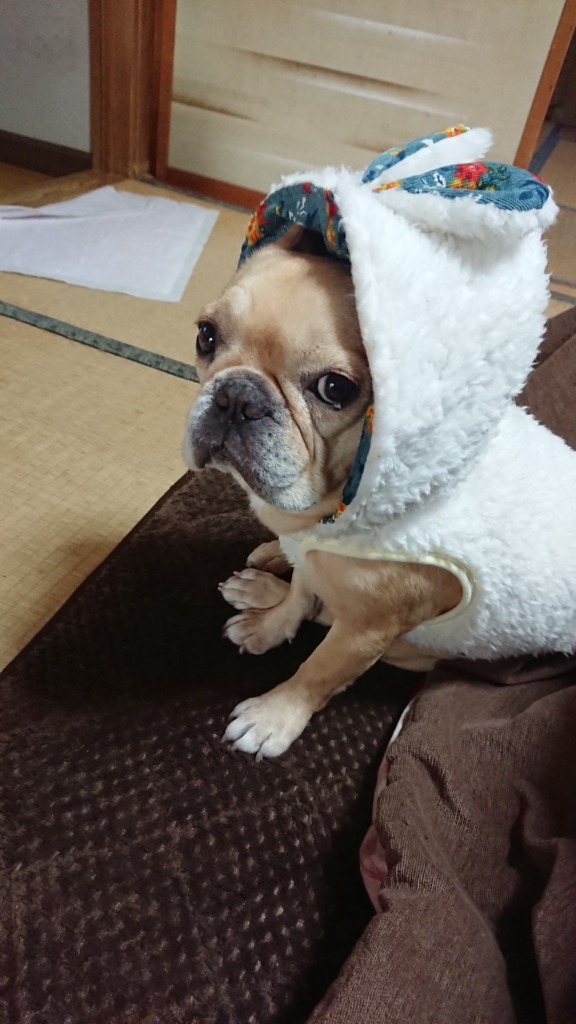 ひめちゃん