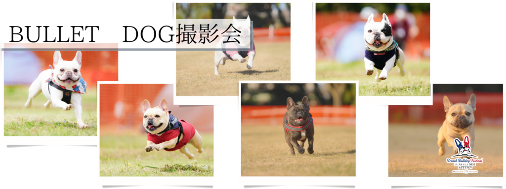 BULLET DOG撮影会